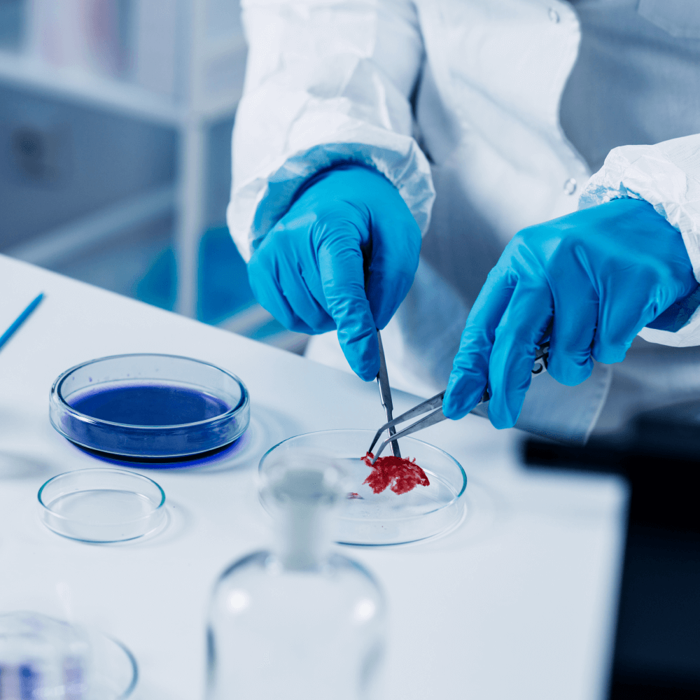 Microbiological Analysis